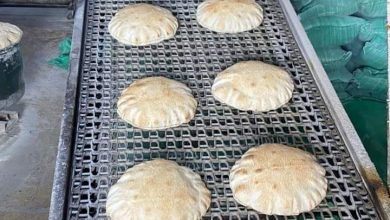 Photo of تطبيق منظومة التكلفة الجديدة وإنتاج مايقرب من ٢٧٠ مليون رغيف مدعم يومي