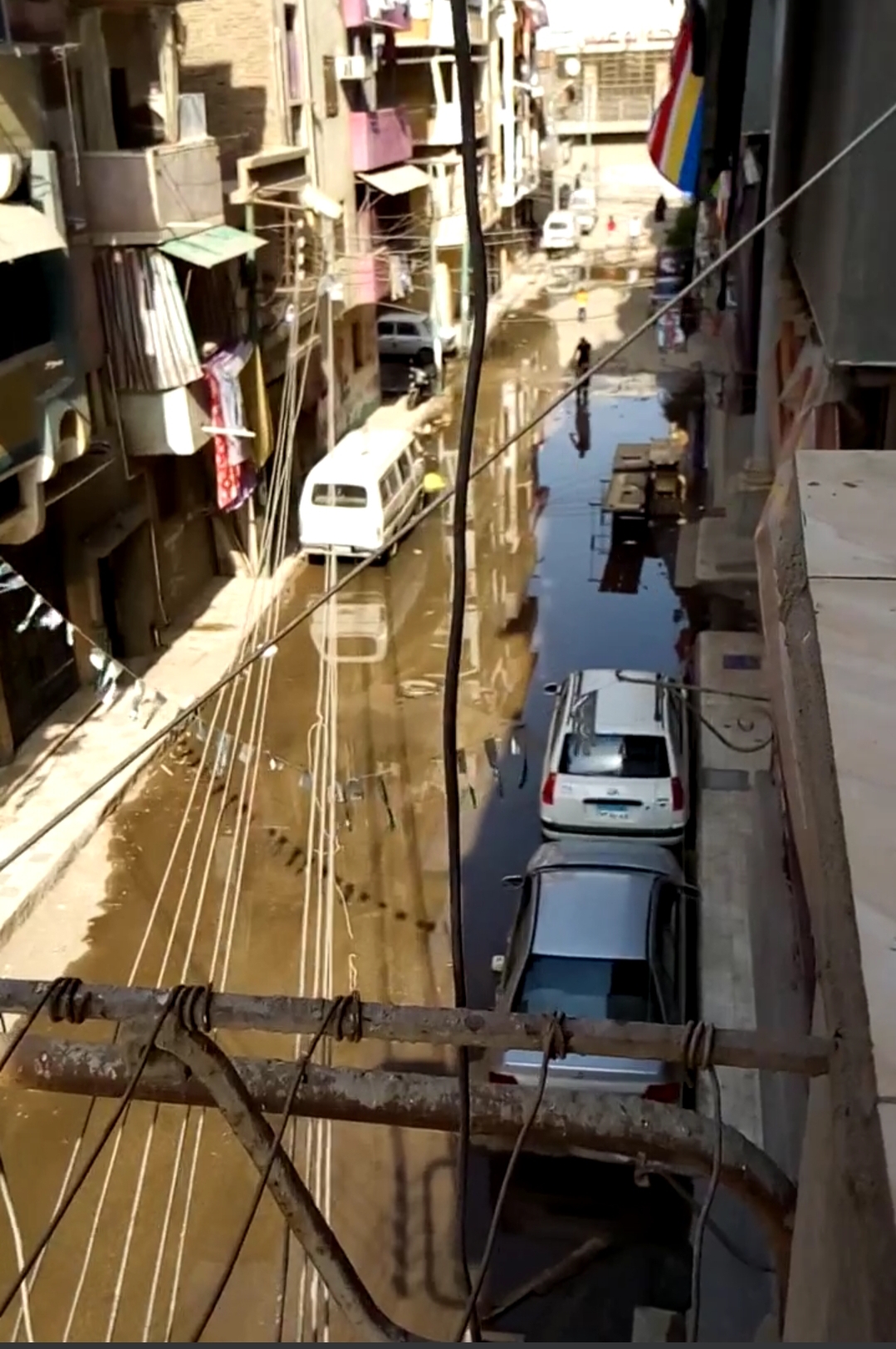 نبض العالم