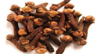 Photo of فوائد مضغ القرنفل على الريق
