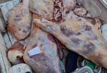 Photo of إعدام 3 طن لحوم مجمدة فاسدة قبل بيعها فى القطامية
