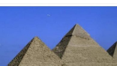 Photo of مصر تقوم بدعوة لإيلون ماسك للزيارة بعد أن غرد عن بناة الهرم