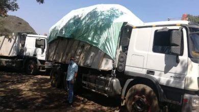 Photo of محافظ المنوفية يعلن رفع تراكمات القمامة ب 6 مقالب عمومية بنطاق المحافظة