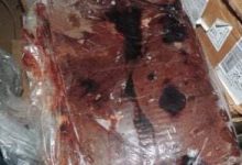 Photo of مباحث التموين:التحفظ على 4 أطنان لحوم وكبدة فاسدة داخل ثلاجة بالمرج