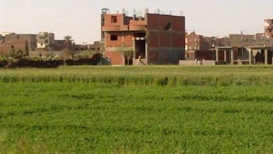Photo of حملة موسعة لإزالة التعديات بالشرقية