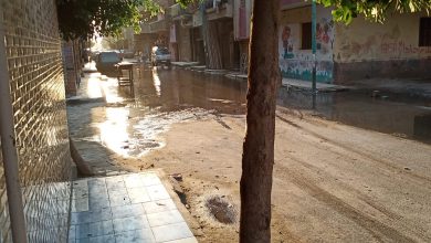 Photo of بالصور.. مياه الصرف الصحي تغرق شارع بعزبة الزراعة والأهالي يستغيثون