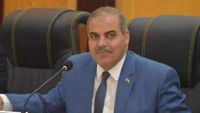 Photo of المحرصاوي يؤكد دور منظمة”خريجي الأزهر”لصقل خبرات الأئمة لمواجهة التطرف