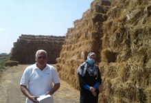 Photo of الزراعة: جمع وتدوير أكثر من 787 ألف طن قش الأرز وتنظيم 653 ندوة ارشادية