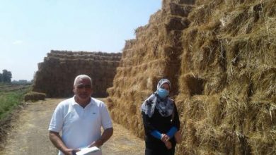 Photo of الزراعة: جمع وتدوير أكثر من 787 ألف طن قش الأرز وتنظيم 653 ندوة ارشادية