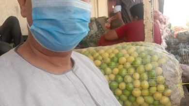 Photo of نقيب عام الفلاحين”سيدة القطار” صورة مشرفه للمراه الريفيه