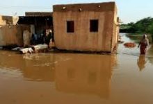 Photo of السودان: مناسيب النيل تواصل انخفاضها في معظم القطاعات