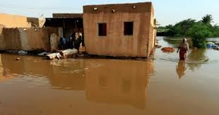 Photo of السودان: مناسيب النيل تواصل انخفاضها في معظم القطاعات