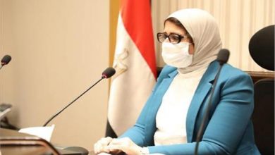 Photo of زايد: 70 قافلة طبية مجانية بجميع محافظات مصر