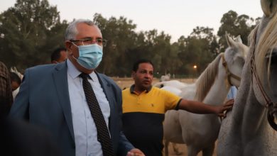 Photo of وزير الزراعة يؤكد علي أهمية رفع كفاءة محطة الزهراء للخيول العربية