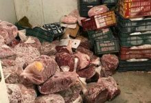 Photo of مباحث التموين: ضبط 5 أطنان لحوم فاسدة داخل مصنع بدون تراخيص فى المرج