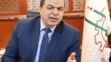Photo of سعفان: تعيين 666 شاباً واستخراج 900 شهادة قياس مستوى مهارة ببنى سويف