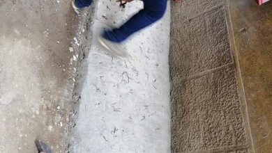 Photo of مالك عقار يزرع المسامير لمنع جلوس الأطفال أمام منزله بميت غمر