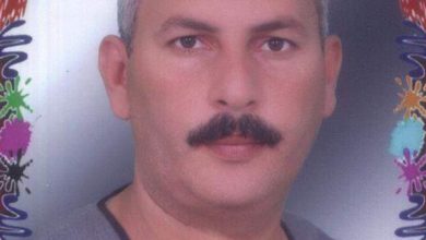 Photo of المشروع القومي لانتاج التقاوي من اهم المشاريع القوميه في الوقت الحالي