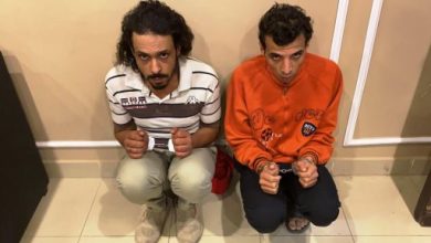 Photo of إحالة أوراق المتهمين بقتل “فتاة المعادى” للمفتى