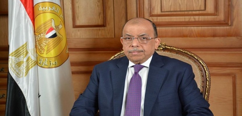 شعراوي: نطمح لنكون ضمن أفضل 30 دولة في مؤشرات التنمية الاقتصادية