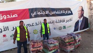 Photo of قوافل تحيا مصر تواصل توزيع المساعدات بالشيخ زويد ورفح ووادي العلاقي