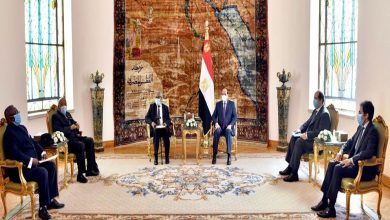 Photo of السيسي يستقبل رئيس جمهورية ناميبيا الأسبق