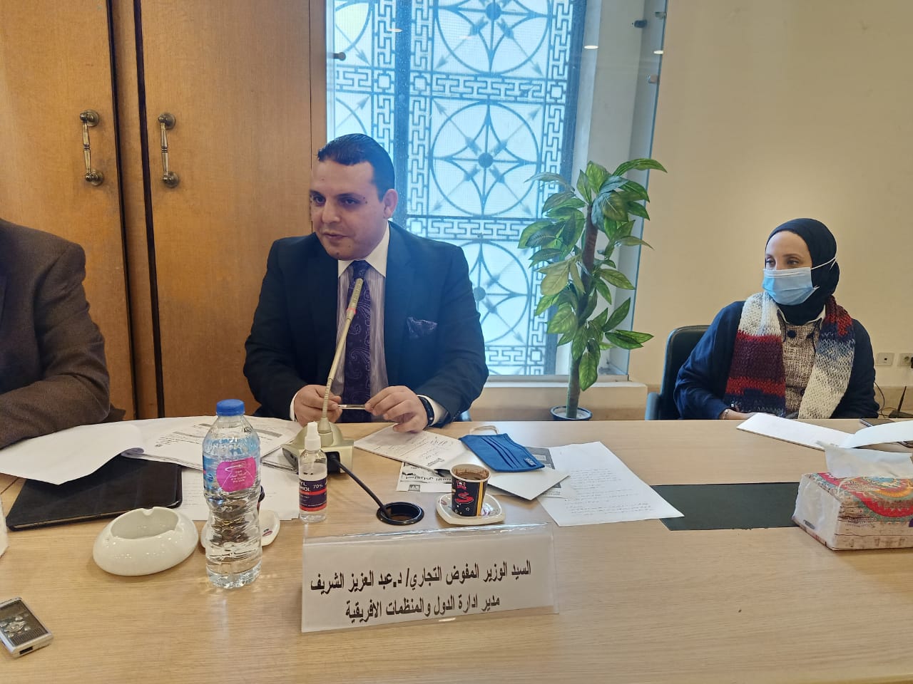 التمثيل التجاري