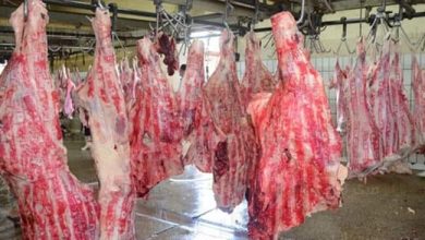 Photo of التنمية المحلية تسابق الزمن للإنتهاء من تطوير ورفع كفاءة 30 مجزراً بـ 18 محافظة