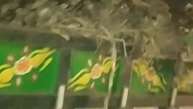 Photo of كارثة بيئية تضرب عزبة خطاب بكفرشكر والمسئولين “أكتب شكوي وإحنا نشوف”