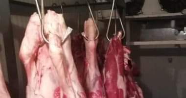 Photo of مباحث تموين القاهرة تضبط 1.5 طن دواجن ولحوم فاسدة داخل مطعم في السلام