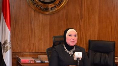 Photo of التجارة والصناعة: وقف استيراد السيراميك والبورسلين لمدة 3 أشهر