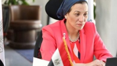 Photo of “البيئة” تنفي إصدار أي تصريح لصيد الحيوانات وتعلن اتخاذ الاجراءات