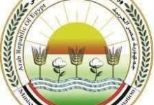 Photo of “الزراعة” تعلن رسميا موافقة “الامارات” على استيراد الماشية الحية من مصر