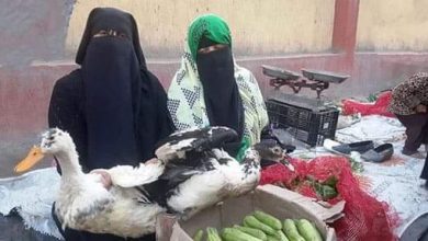 Photo of بائعة البطة” المسروقة: رفضت التنازل عن محضر السرقة ضد المحامى