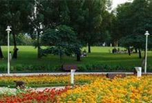Photo of مباحث الجيزة تبحث عن لص سرق كافتيريا داخل حديقة شهيرة