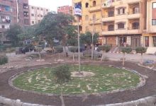 Photo of بالصور مجلس مدينة كفرشكر: حديقة الورد متنفس جديد للمواطنين