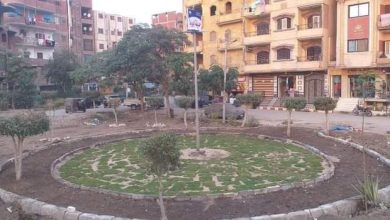Photo of بالصور مجلس مدينة كفرشكر: حديقة الورد متنفس جديد للمواطنين