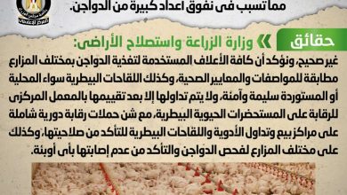 Photo of تداول أعلاف ولقاحات بيطرية فاسدة بالأسواق مما تسبب في نفوق أعداد كبيرة من الدواجن