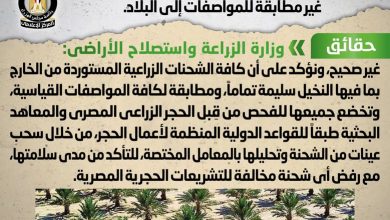 Photo of حقيقة السماح بدخول شحنة فسائل نخيل مستوردة غير مطابقة للمواصفات إلى البلاد