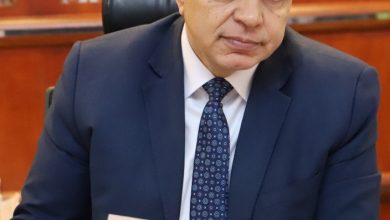 Photo of سعفان: صرف 2.1 مليون جنيه منحاً اجتماعية وصحية لـ 4238 عامل  غير منتظم بقنا