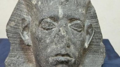 Photo of رأس الملك سنوسرت الثالث قطعة الشهر بالمتحف المصري، احتفالا بعيد الشرطة