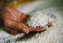 Photo of العراق: مشتريات الأرز بلغت 260 ألف طن في موسم 2020-2021
