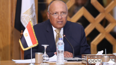 Photo of وزير الخارجية سامح شكري يصل القمة الخليجية