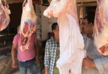 Photo of أسعار اللحوم اليوم بالأسواق المصرية