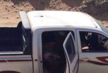 Photo of العثور على “جثة”عامل  وضبط الجانى بالشرقية…اعرف التفاصيل