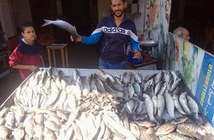 Photo of أسعار الأسماك والمأكولات البحرية اليوم في الاسواق المصرية