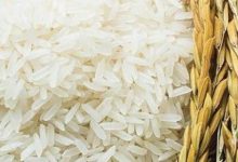 Photo of غرفة صناعة الحبوب: توريد الدفعة الثانية من الأرز المحلي للتموين الإثنين