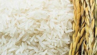 Photo of غرفة صناعة الحبوب: توريد الدفعة الثانية من الأرز المحلي للتموين الإثنين