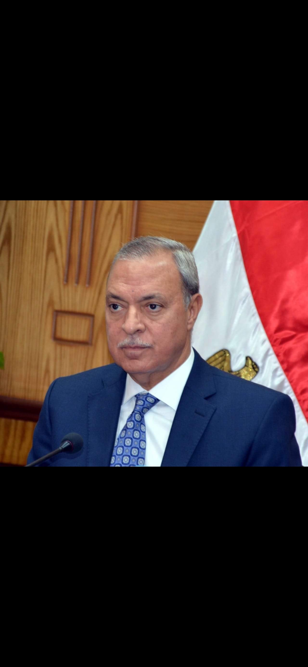 الهجان
