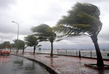 Photo of أمطار ورياح مثيرة للرمال والأتربة غدا…والصغرى بالعاصمة 11 درجة