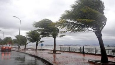 Photo of أمطار ورياح مثيرة للرمال والأتربة غدا…والصغرى بالعاصمة 11 درجة